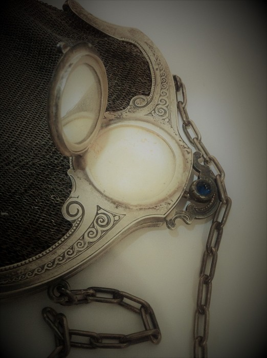 Silver Lady Mesh Purse