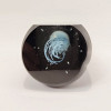 Black Jellyfish