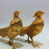 Pheasants Pair Gilt Bronze