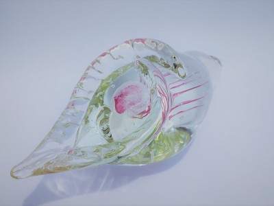 Jellyfish Shell
