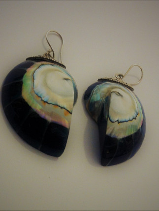 Earring Shell Silver