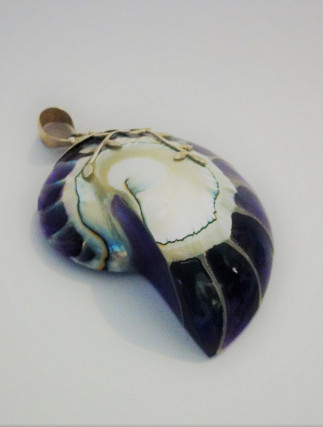 Pendant Shell Silver