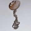 Silver Spoon