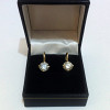 Earring Moissanite