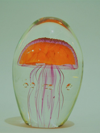 Jellyfish Glass