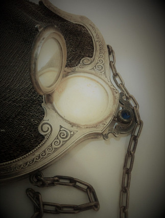 Silver Lady Mesh Purse