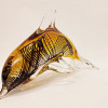 Dolphin glass