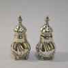 Silver Salt & Pepper Shaker
